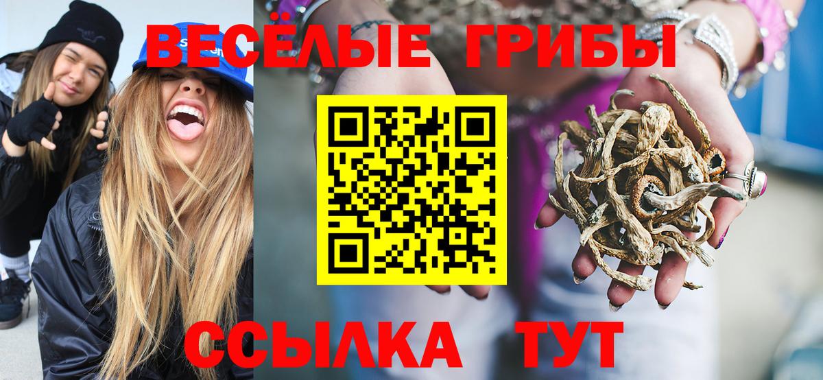 Псилоцибиновые грибы Psilocybe  Вход с VPN  Галлюциногенные грибы MAGIC MUSHROOMS  Гусиноозёрск 