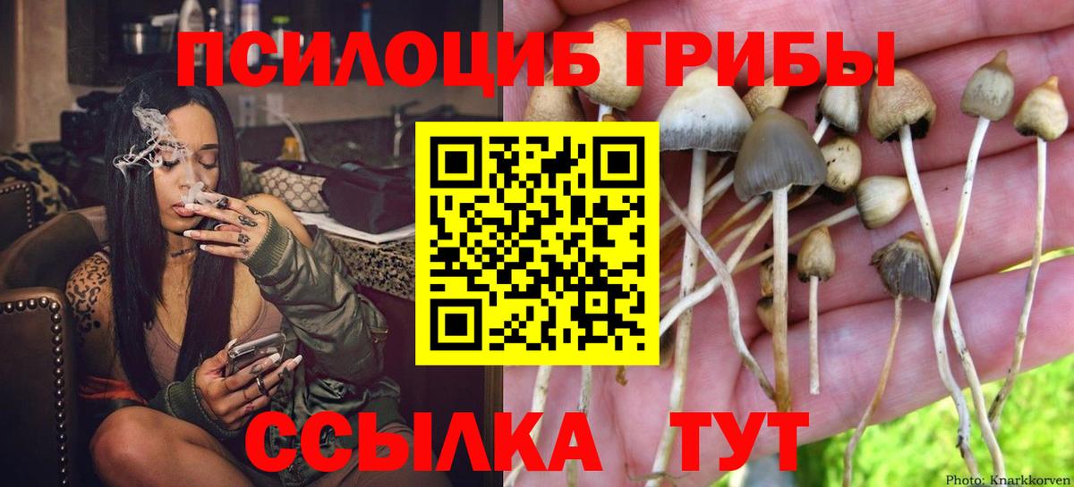 Галлюциногенные грибы прущие грибы Гусиноозёрск